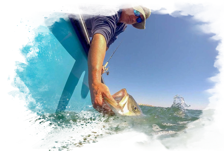 A man holding a fish while standing on top of a boat.