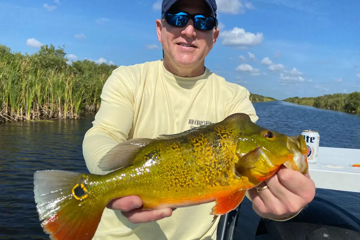 A man holding a fish while standing on top of a boat.